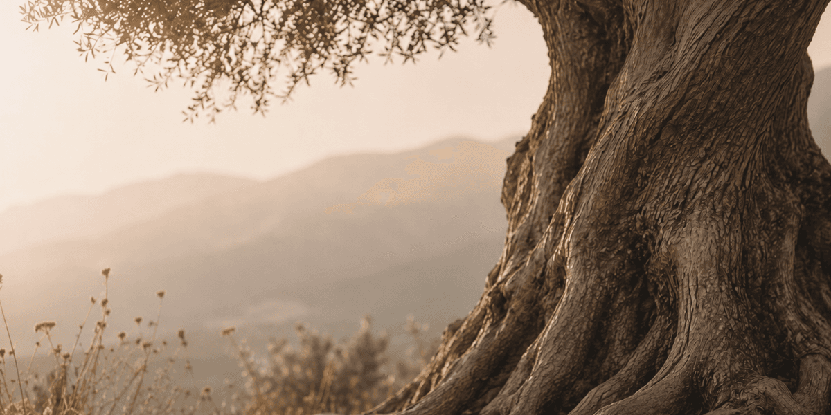 Sprout from earth — structure and stability